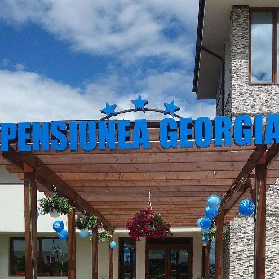 Pensiunea Georgia Lunguletu Luaran gambar